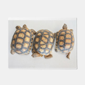 Tortoise Trio doormat Deurmat