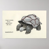 tortoise trivia poster (Voorkant)