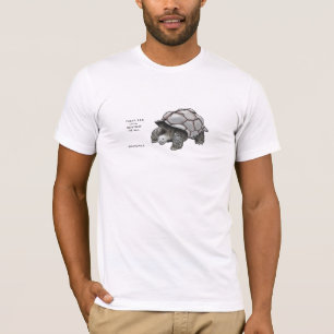 tortoise trivia t-shirt