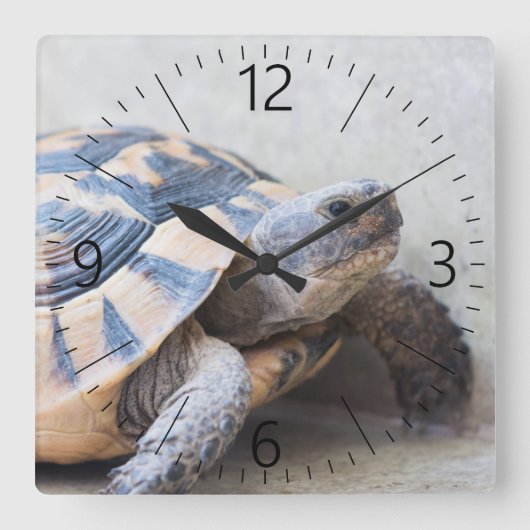 Tortoise Vierkante Klok (Voorkant)