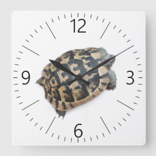 Tortoise Vierkante Klok