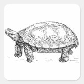Tortoise Vierkante Sticker (Voorkant)