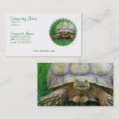 Tortoise Visitekaartje (Voorkant / Achterkant)
