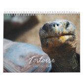 Tortoise Wall Agenda Kalender (Hoes)