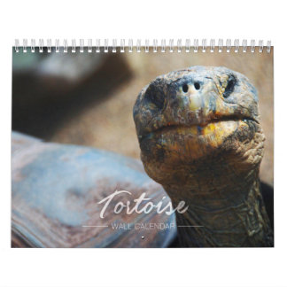 Tortoise Wall Agenda Kalender