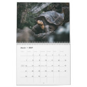 Tortoise Wall Agenda Kalender (Mar 2027)