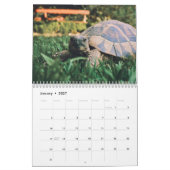 Tortoise Wall Agenda Kalender (Jan 2027)