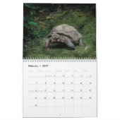Tortoise Wall Agenda Kalender (Feb 2027)