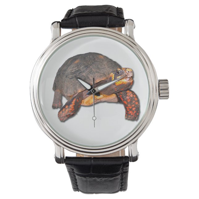 Tortoise Watch Horloge (Voorkant)