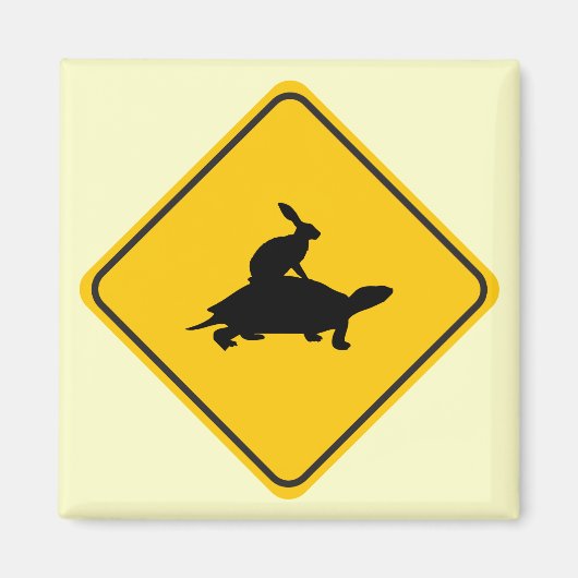Tortoiseback Hare Crossing Magneet (Voorkant)