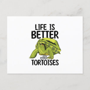 Tortoises Briefkaart