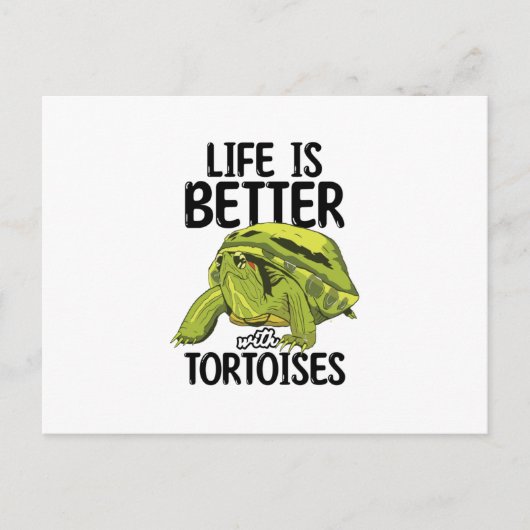Tortoises Briefkaart (Voorkant)