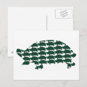 Tortoises Briefkaart (Voorkant / Achterkant)