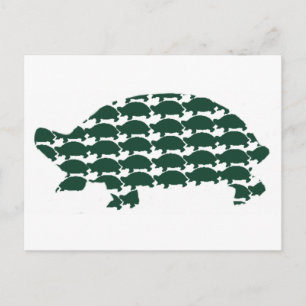 Tortoises Briefkaart