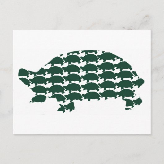 Tortoises Briefkaart (Voorkant)