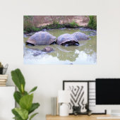 Tortoises in de modder poster (Thuiskantoor)