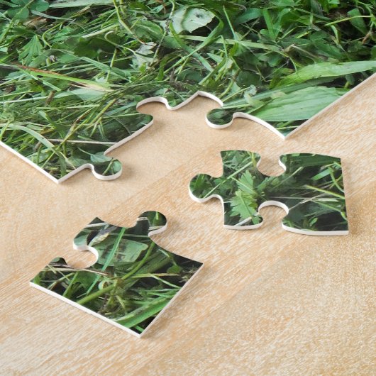 Tortoises Legpuzzel (Zijkant)