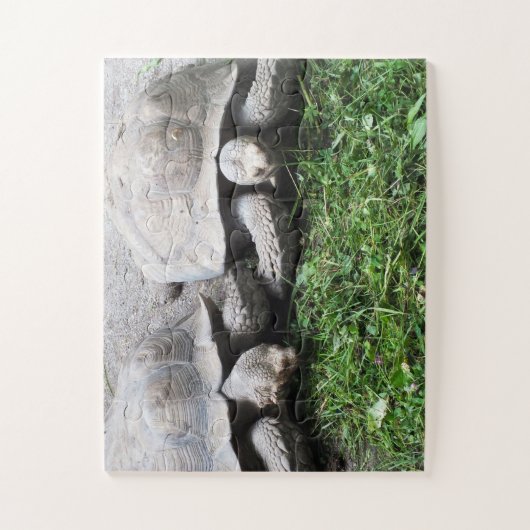 Tortoises Legpuzzel (Verticaal)