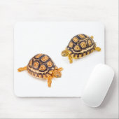 Tortoises Meeting Muismat (Met muis)