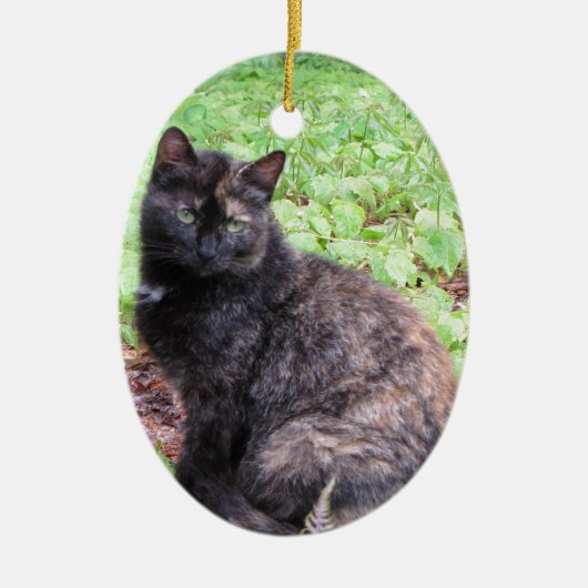 Tortoiseshel Black Cat Garden Keramisch Ornament (Voorkant)