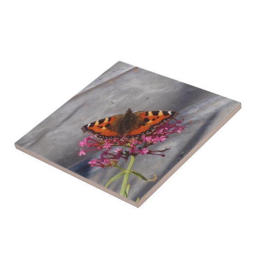 Tortoiseshel Butterfly Tegeltje (Zijkant)