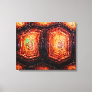Tortoiseshel Canvas Afdruk