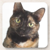 Tortoiseshel Cat Bier Onderzetter (Voorkant)