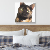 Tortoiseshel Cat Canvas Afdruk (Insitu (Slaapkamer))