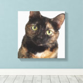 Tortoiseshel Cat Canvas Afdruk (Insitu (Houten vloer))