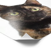 Tortoiseshel Cat Foto Afdruk (Hoek)
