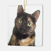 Tortoiseshel Cat Keramisch Ornament (Links)