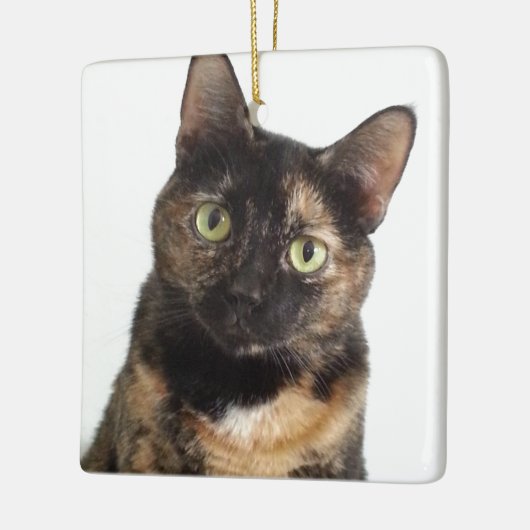 Tortoiseshel Cat Keramisch Ornament (Links)