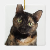 Tortoiseshel Cat Keramisch Ornament (Achterkant)