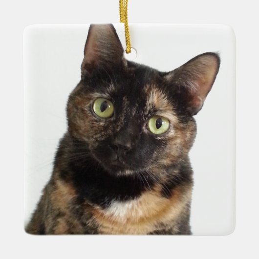 Tortoiseshel Cat Keramisch Ornament (Voorkant)