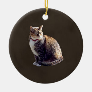 Tortoiseshel Cat Keramisch Ornament