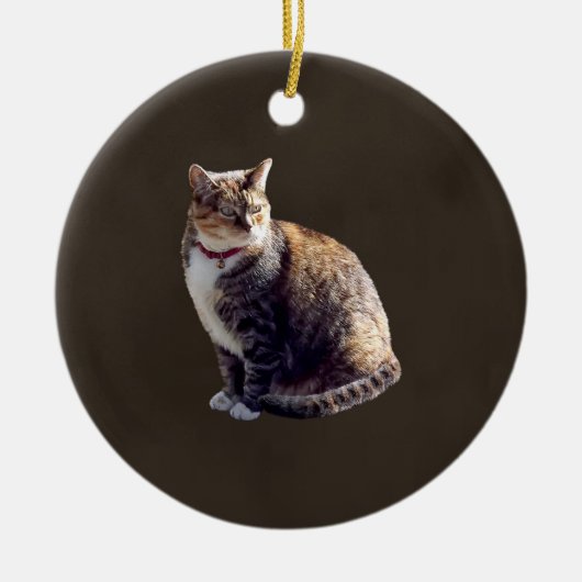 Tortoiseshel Cat Keramisch Ornament (Voorkant)