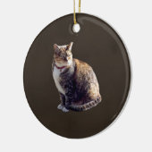 Tortoiseshel Cat Keramisch Ornament (Links)