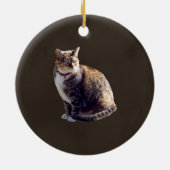 Tortoiseshel Cat Keramisch Ornament (Achterkant)