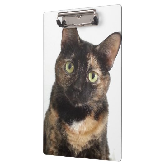 Tortoiseshel Cat Klembord (Links)