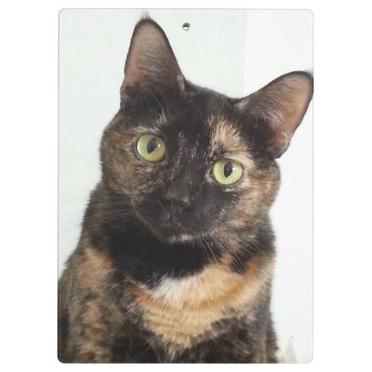 Tortoiseshel Cat Klembord (Achterkant)