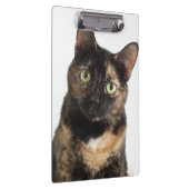 Tortoiseshel Cat Klembord (Rechts)