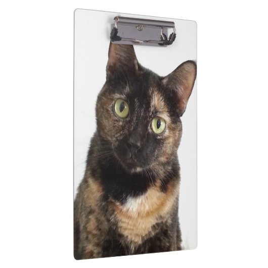 Tortoiseshel Cat Klembord (Rechts)