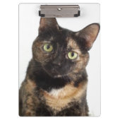 Tortoiseshel Cat Klembord (Voorkant)