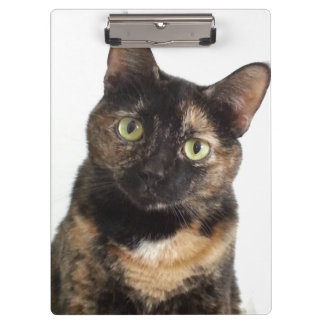 Tortoiseshel Cat Klembord