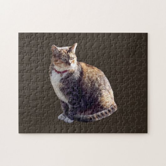 Tortoiseshel Cat Legpuzzel (Horizontaal)