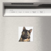 Tortoiseshel Cat Magneet (Insitu (Vaatwasser))