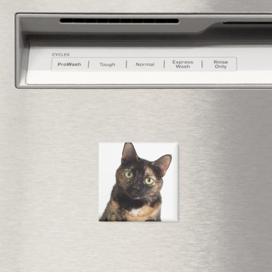 Tortoiseshel Cat Magneet (Insitu (Vaatwasser))