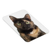 Tortoiseshel Cat Magneet (Rechterzijde)