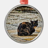 Tortoiseshel Cat Metalen Ornament (Voorkant)