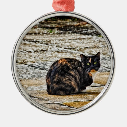 Tortoiseshel Cat Metalen Ornament (Voorkant)